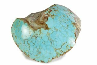 Polished Turquoise Section - Number Mine, Carlin, NV #373117