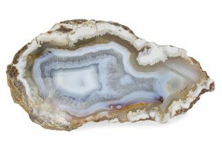 Polished Banded Agate Nodule Half - Wiley's Well, California #373391