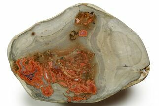 Polished Devil's Red Agate - TeePee Canyon, South Dakota #373446