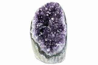 Free-Standing Amethyst Crystal Cluster - Uruguay #373235