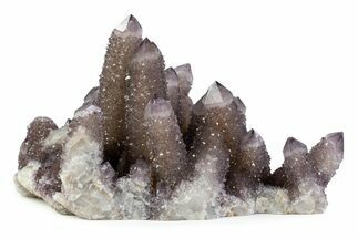 Sparkling Smoky Amethyst Cactus Crystal Cluster - South Africa #373463