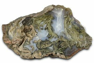 Moss Agate Replaced Wood Cast - Oregon #373529