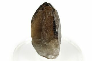 Gemmy Smoky Quartz Crystal - Malawi #373575