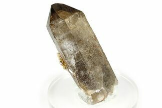 Lustrous Smoky Quartz Crystal with Feldspar - Malawi #373601