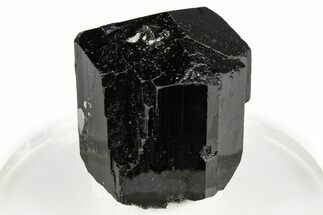 Lustrous Black Tourmaline (Schorl) Crystal - Namibia #373622