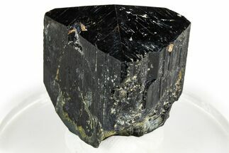 Lustrous Black Tourmaline (Schorl) Crystal - Namibia #373626