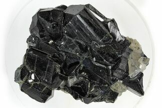Black Tourmaline (Schorl) Crystalsl with Smoky Quartz - Namibia #373632