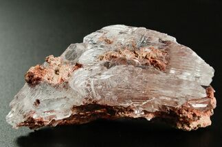 Glassy Selenite Crystal Cluster - Naica Mine, Mexico #374034