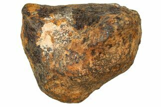 Mundrabilla Iron Meteorite ( g) - Australia #374321