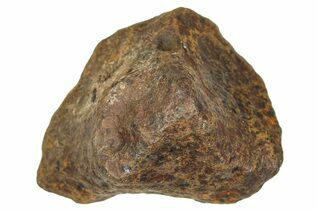 Mundrabilla Meteorite For Sale