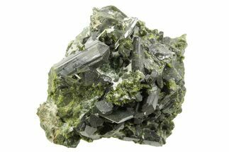 Lustrous Epidote Crystals with Actinolite - Pakistan #374636