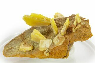 Bright Yellow Wulfenite on Dolomite - Morocco #375153