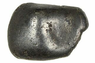 Fusion Crusted Sikhote-Alin Iron Meteorite ( g) - Russia #375324
