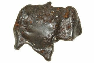 Fusion Crusted Sikhote-Alin Iron Meteorite ( g) - Russia #375331