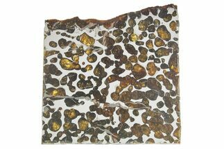 Sericho Pallasite Meteorite ( g) Slice - Kenya #375619