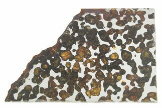 Sericho Pallasite Meteorite ( g) Slice - Kenya #375624