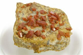 Vibrant Red Vanadinite Crystals - Western Mine, Arizona #375677