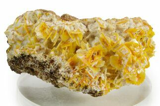 Bright Yellow Wulfenite on Calcite - Iran #375741