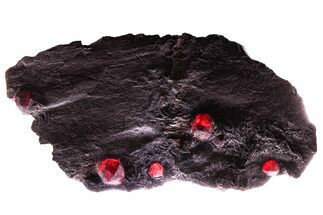 Plate of Six Red Embers Garnets in Graphite - Massachusetts #375779