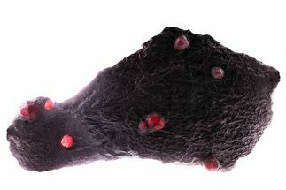 Plate of Seven Red Embers Garnets in Graphite - Massachusetts #375788