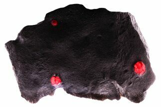 Plate of Seven Red Embers Garnets in Graphite - Massachusetts #375790