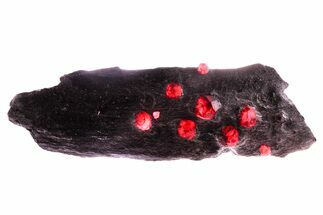 Plate of + Red Embers Garnets in Graphite - Massachusetts #375801