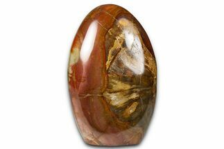 Free-Standing, Polished Petrified Wood - Madagascar #376109