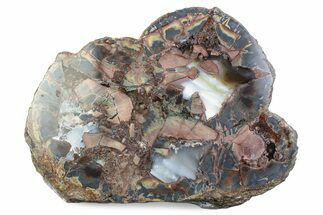 Polished Baker Ranch Thunderegg (Half) - New Mexico #376194