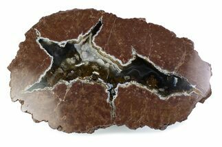Polished, Black Rock Desert Thunderegg (Half) - Nevada #376197