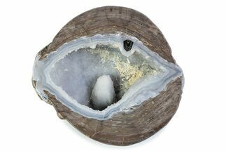 Chalcedony Filled Dugway Geode (Polished Half) - Utah #376199