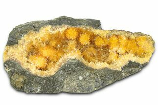 Intense Orange Calcite Crystal Cluster - Poland #374676