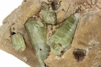 Lustrous Yellow-Green Apatite Crystals on Calcite - Morocco #376596