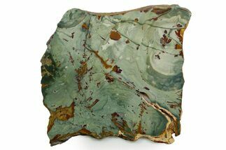 Gary Green Jasper (Larsonite) Bog Wood Slab - Oregon #377739