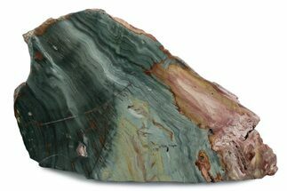 Gary Green Jasper (Larsonite) Bog Wood Slab - Oregon #377759