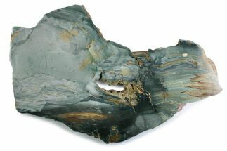 Gary Green Jasper (Larsonite) Bog Wood Slab - Oregon #377777