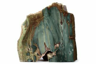 Freestanding Gary Green Jasper (Larsonite) Bog Wood - Oregon #377815