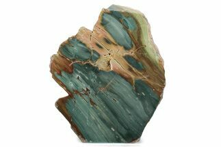 Freestanding Gary Green Jasper (Larsonite) Bog Wood - Oregon #377818