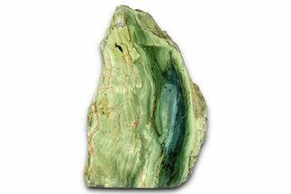 Freestanding Gary Green Jasper (Larsonite) Bog Wood - Oregon #377826