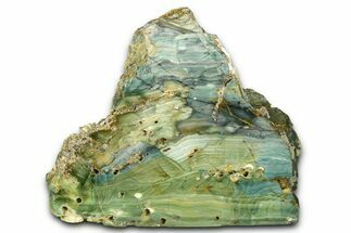 Freestanding Gary Green Jasper (Larsonite) Bog Wood - Oregon #377845