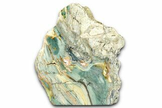 Freestanding Gary Green Jasper (Larsonite) Bog Wood - Oregon #377862