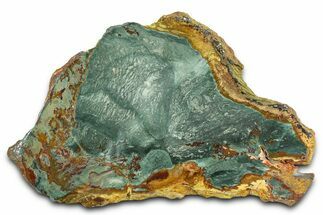 Gary Green Jasper (Larsonite) Bog Wood Slab - Oregon #377932