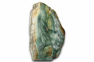 Freestanding Gary Green Jasper (Larsonite) Bog Wood - Oregon #377938