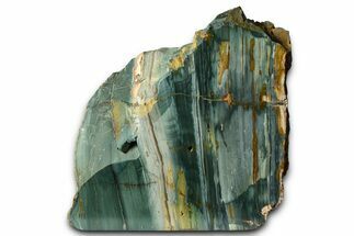 Freestanding Gary Green Jasper (Larsonite) Bog Wood - Oregon #377944