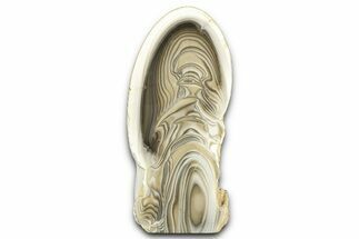 Freestanding Polished Striped Flint - Poland #377996