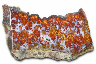 Wingate Pass Plume Agate Slab - California #378066