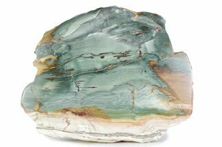 Gary Green Jasper (Larsonite) Bog Wood Section - Oregon #377955