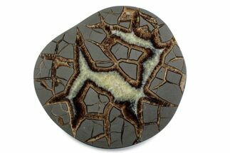 Polished Septarian Nodule End-Cut - Utah #378362
