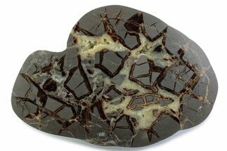 Polished Septarian Nodule End-Cut - Utah #378406