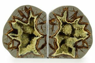 Crystal Filled Septarian Geode Bookends - Utah #378569