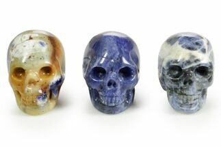 Polished Sodalite Skulls #378703